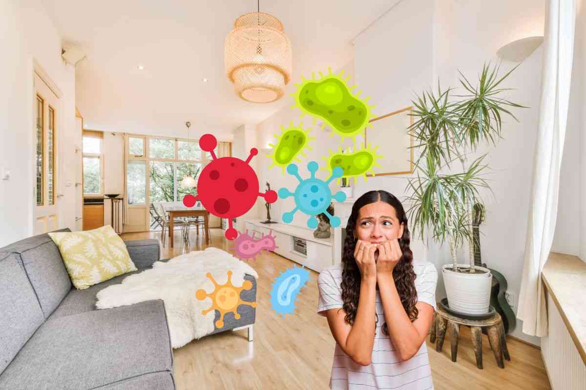 Lo hai sicuramente comprato e messo in casa: quello che non sai fa accapponare la pelle